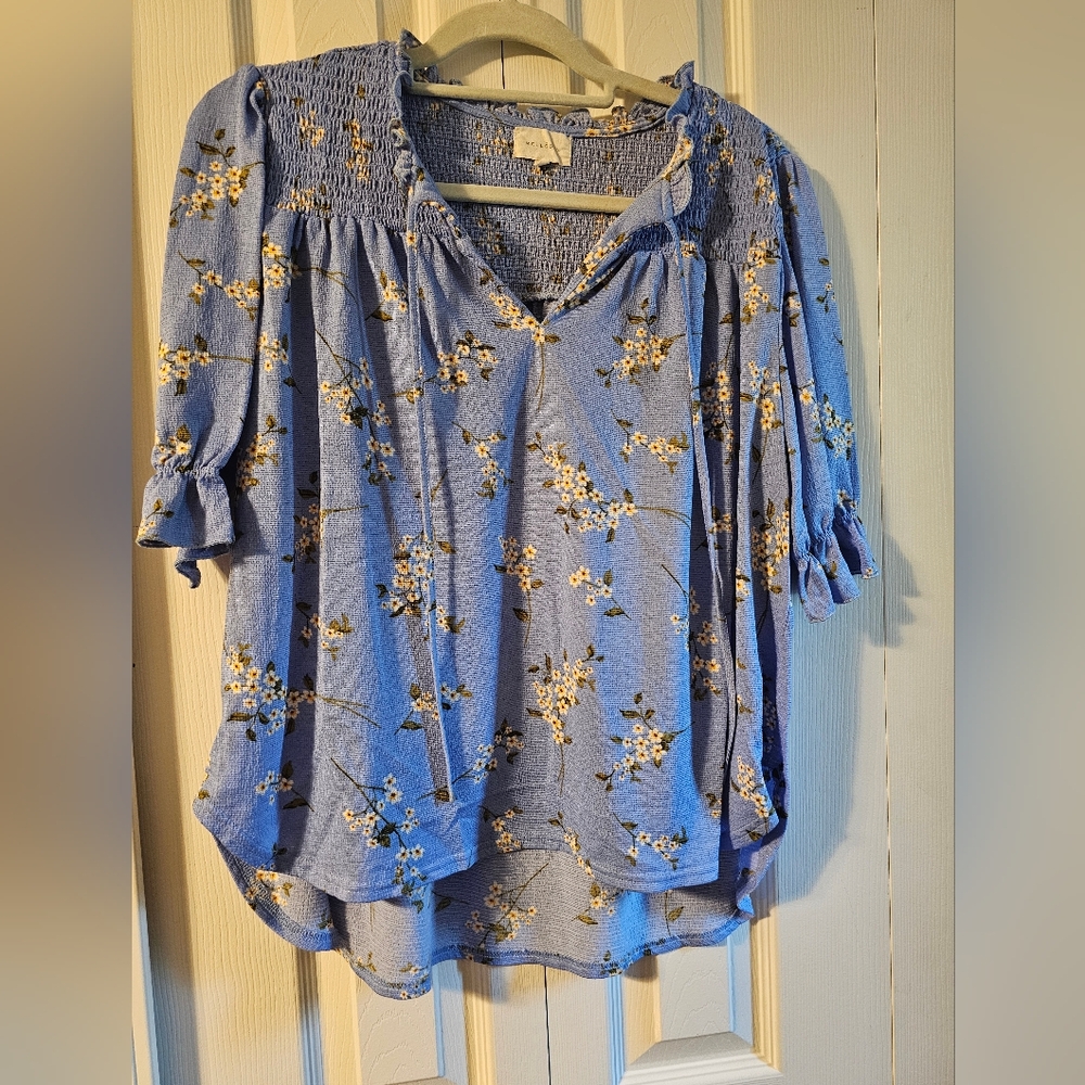 Blue Blouse